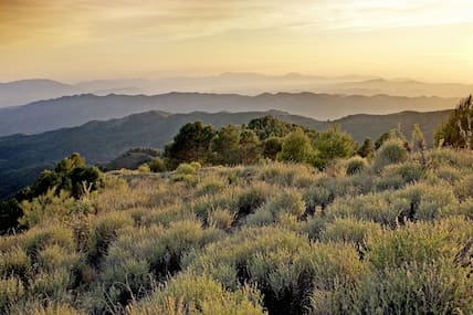 Die Landschaft der Montes de Málaga lädt zum Träumen und Erholen ein.