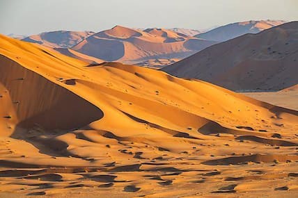 Goldgelben in der Sonne erstrahlte Dünenberge in der Wüste Rub Al Khali in Oman