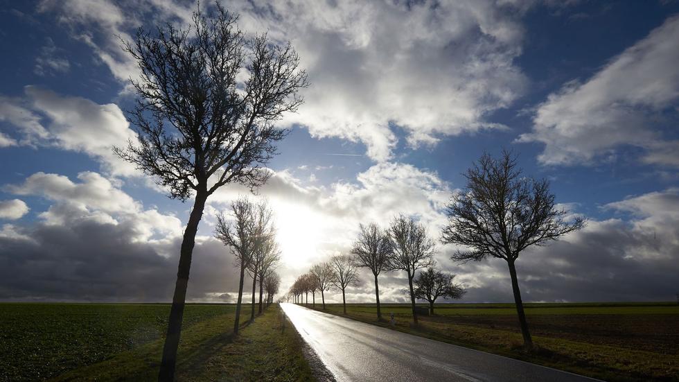 Wettervorhersage: Die Sonne scheint über einer Allee zwischen den Wolken hindurch.