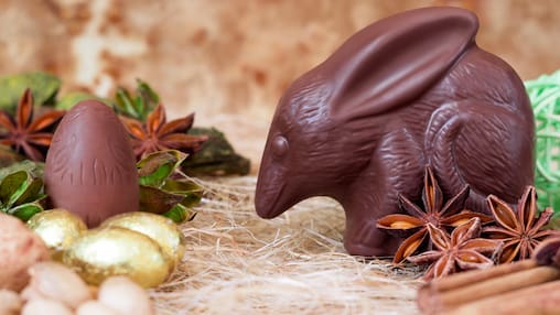 In Australien gibt’s keine Osterhasen, sondern Osterbilbys.