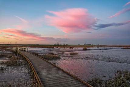 Sonnenaufgang im Naturschutzgebiet Langwarder Groden: Der besondere Naturraum gehört zum Nationalpark Wattenmeer.