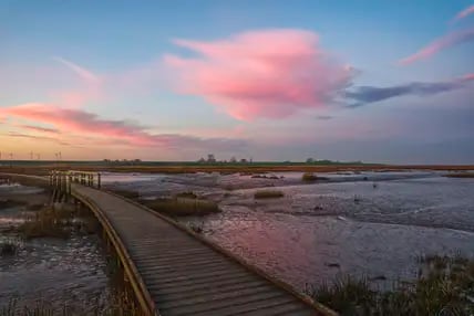 Sonnenaufgang im Naturschutzgebiet Langwarder Groden: Der besondere Naturraum gehört zum Nationalpark Wattenmeer.