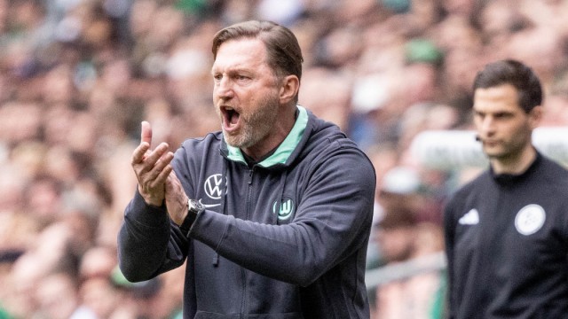 27. Spieltag der Fußball-Bundesliga: Zurück in der Bundesliga: Wolfsburgs Trainer Ralph Hasenhüttl.