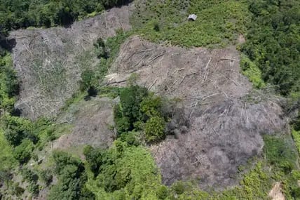 Ein abgeholzter Hügel ist in der Nähe eines von einer Sturzflut betroffenen Gebiets in Pesisir Selatan, West-Sumatra, zu sehen.