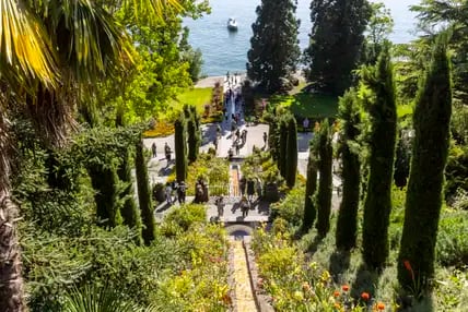 Auf der Blumeninsel Mainau wachsen Palmen und zahlreiche andere tropische Gewächse.