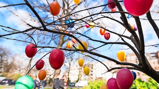 Sonne satt – zum Osterfest werden über 20 Grad und viele Sonnenstunden vorhergesagt. (Symbolfoto)