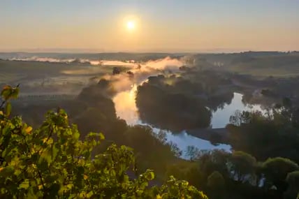 Der naturbelassene Dschungelpfad schlängelt sich zwischen Astheim und Kaltenhausen ganz nah am Main entlang.