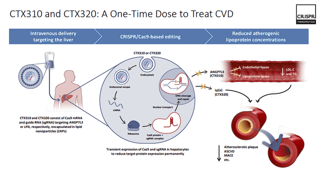 CRISPR Therapeutics CVD Programs