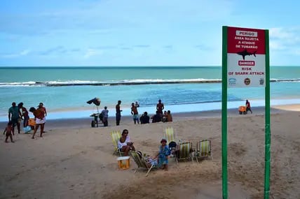 Am Strand von Recife in Brasilien stehen Schilder, die vor Haien warnen (Symbolfoto).