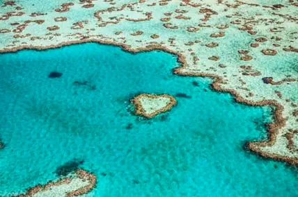 Das Great Barrier Reef in Australien besteht aus über 3000 einzelne Riffsystemen.