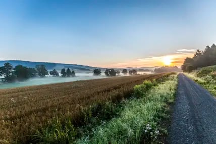 Der Goldsteig verläuft auch durch den Bayerischen Wald. 