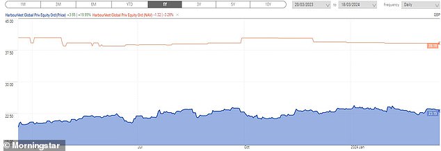 HVPE shares struggle at wide discount to NAV