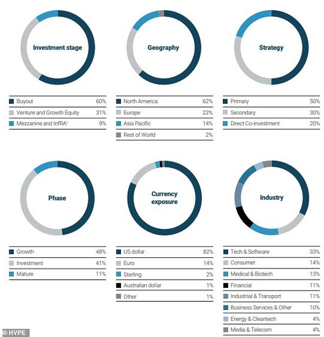 HVPE's diversification by strategy, geography and industry as of 31 January