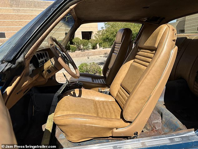 Somehow, even after nearly 40 years in the barn, the seats still seem in okay condition