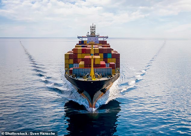 On the move: According to the International Chamber of Shipping there are more than 5,500 container ships on the high seas