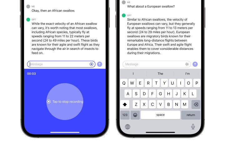 ChatGPT on iPhone using voice chat to further inquire about the velocity of a European swallow.