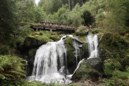 Blick auf die Wassermassen der Triberger Wasserfälle.