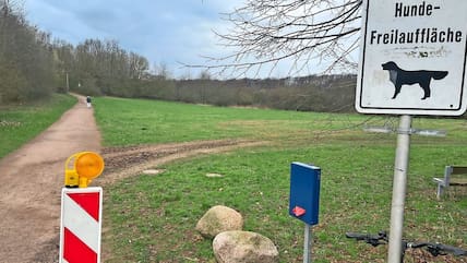 Die Hunde-Freilauffläche nördlich der Heinrich-Herrz-Straße am Peter-Schlottmann-Weg. Hier sollte nach Plänen der Stadt Ratzeburg ein Containerdorf mit Platz für 100 Flüchtlinge entstehen.