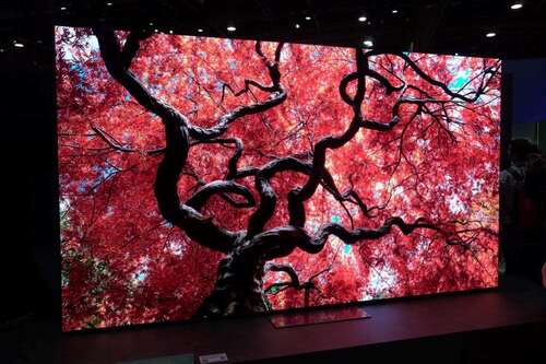 Samsung Micro LED 2024