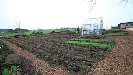 Der Garten liegt direkt hinter dem Hof, es gibt noch zwei große Gewächshäuser, die in einem anderen Ort angemietet worden sind. 