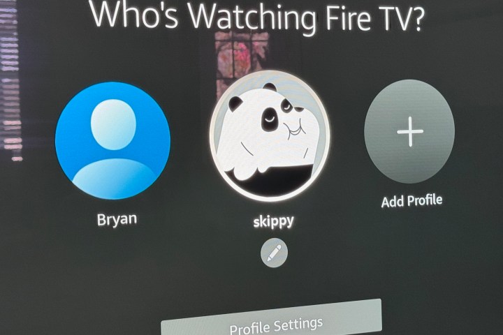 Screenshot showing profiles on an Amazon Fire TV.