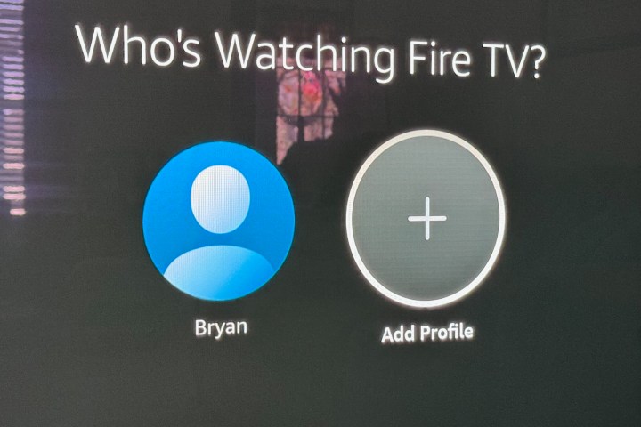 Screenshot showing one Amazon Fire TV profile.