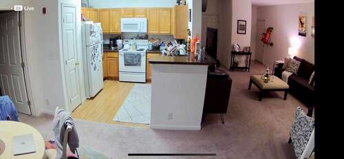 Dining room, kitchen, and living room imagery captured from the Arlo Essential Indoor Cam (2K)