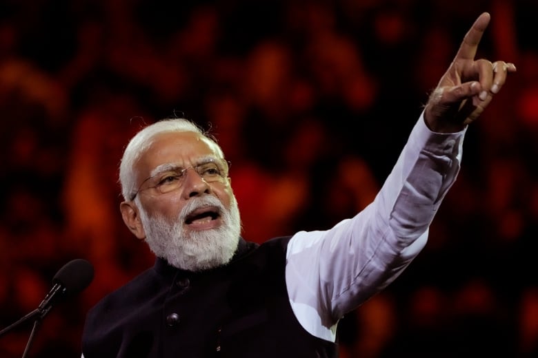 An Indian man with white hair and bear points a finger up in the air