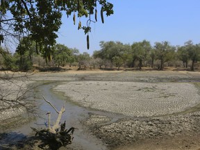 FILE - A sun baked pool that used to be a perennial water supply is seen in Mana Pools National Park, Zimbabwe on Oct. 27, 2019. Malawi has declared a state of disaster over drought in 23 of its 28 districts and the president says it urgently needs more than $200 million in humanitarian assistance, the latest country in the region to have its food supply crippled by a severe dry spell that's been linked to the El Niño weather phenomenon. The announcement by Malawian President in a speech Saturday March 23, 2024 night came less than a month after neighboring Zambia declared a national disaster over drought and called for help. A third country, Zimbabwe, has also seen much of its crops decimated and is considering following suit and declaring a drought disaster.