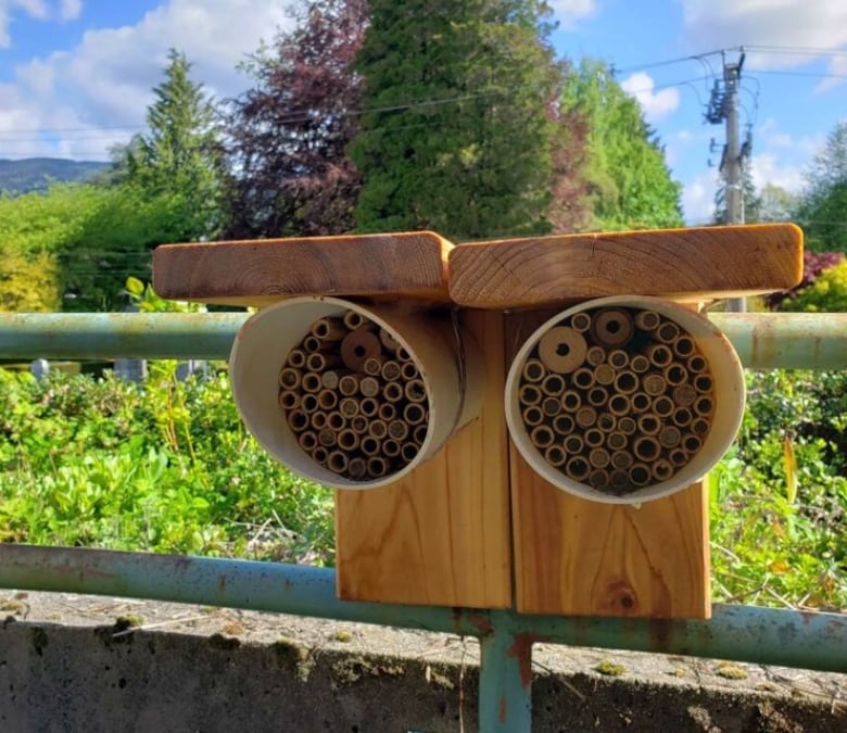 Two bird-house like structures with several holes stand on a fence around a field filled with flowers.