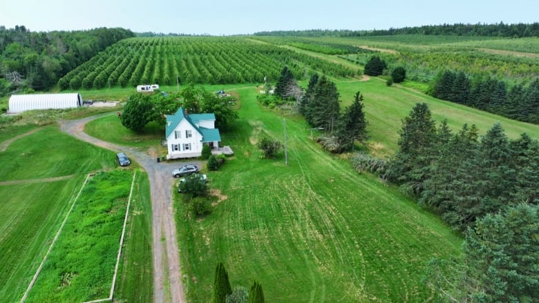 This photo shows the Canadian Nectar Products farmhouse and orchard from the sky.