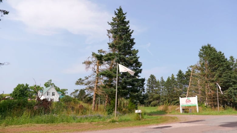 Canadian Nectar Products has a farm in Alliston, P.E.I. It is pictured here in July 2023.