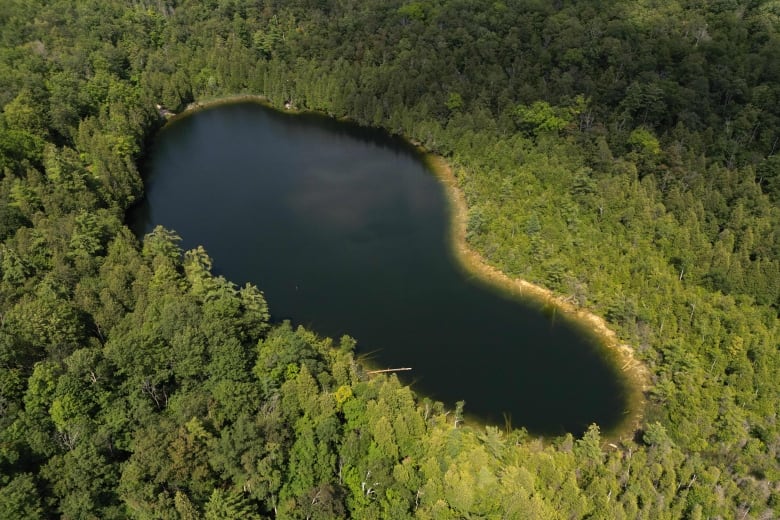 An aerial view of a pear-shaped lake surrounded by forest