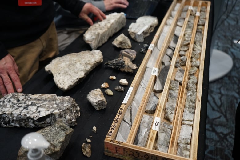 Different rocks layed out on a table.