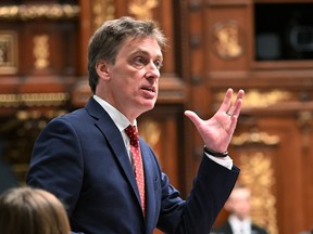 Marc Tanguay gestures while speaking at the National Assembly