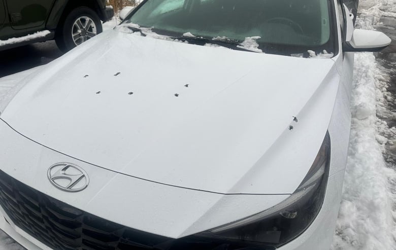 Bullet holes seen on hood of vehicle, one of 11 damaged when gunmen entered an Ontario car dealership and opened fire at the cars.