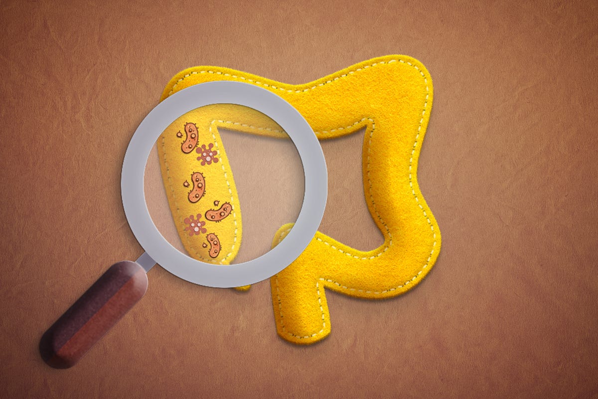 An illustration of the gut microbiome, magnified by a magnifying glass