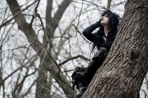 Photos of goths in trees