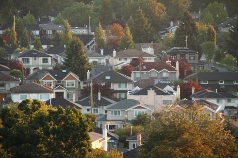 A number of single-family homes in Vancouver.