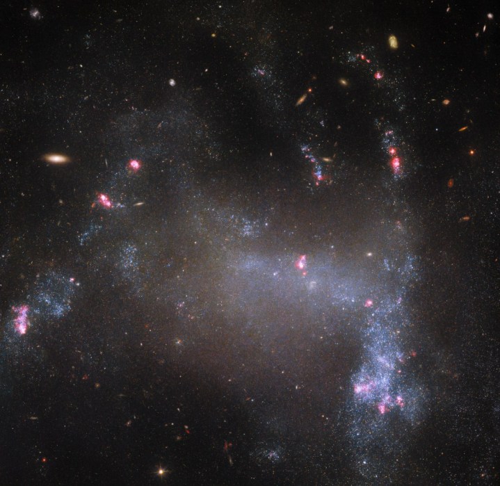 This image from the NASA/ESA Hubble Space Telescope shows the irregular galaxy UGC 5829. 