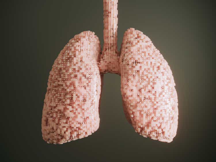 Human lung with cubes