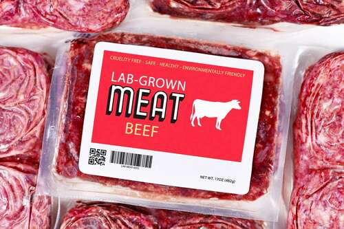 Florida lab-grown meat law