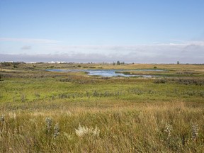 small swale