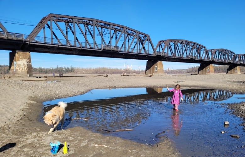 A child and a dog walk through a puddle.