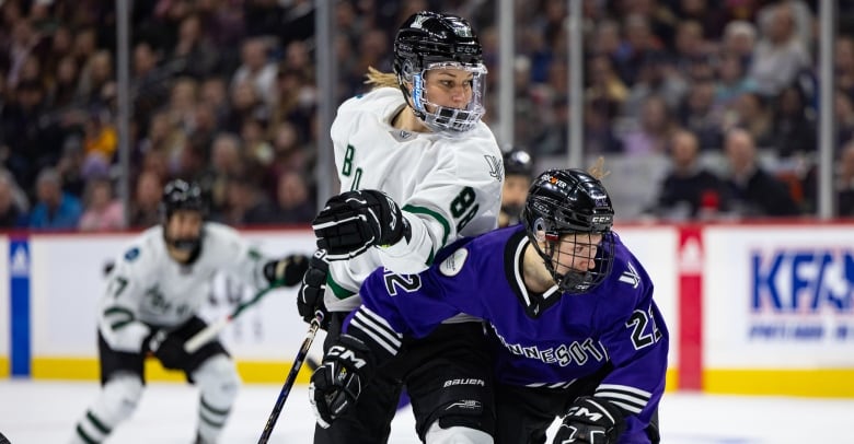 Two hockey players compete for the puck.