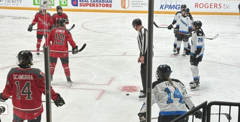 Two teams of female hockey players, one wearing red and the other wearing blue and white, playing on the ice.  