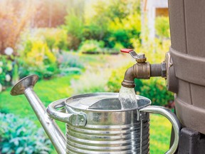 rain barrel