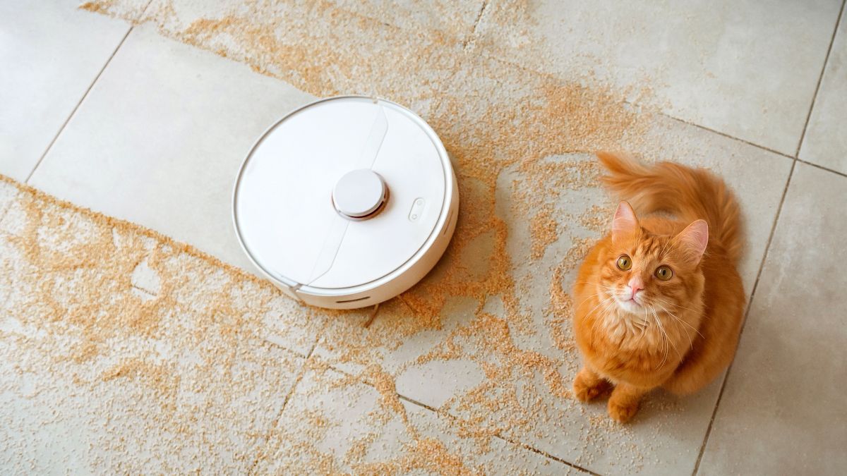 Robot vacuum cleaning up orange hair next to a sitting cat.