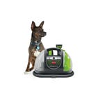 carpet cleaner next to german shepherd