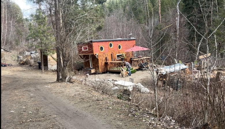 A picture of the small, wooden tiny home on a tree-lined property in a small valley in the Okanagan.